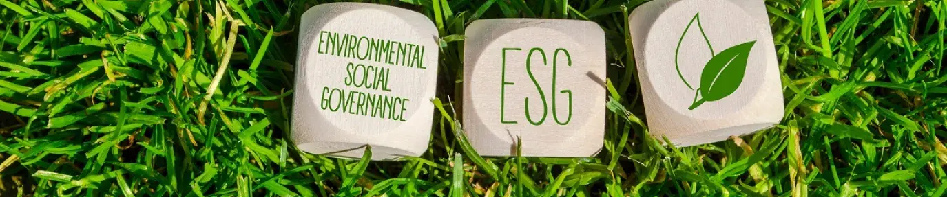 Environmental Social Governance - blocks in grass